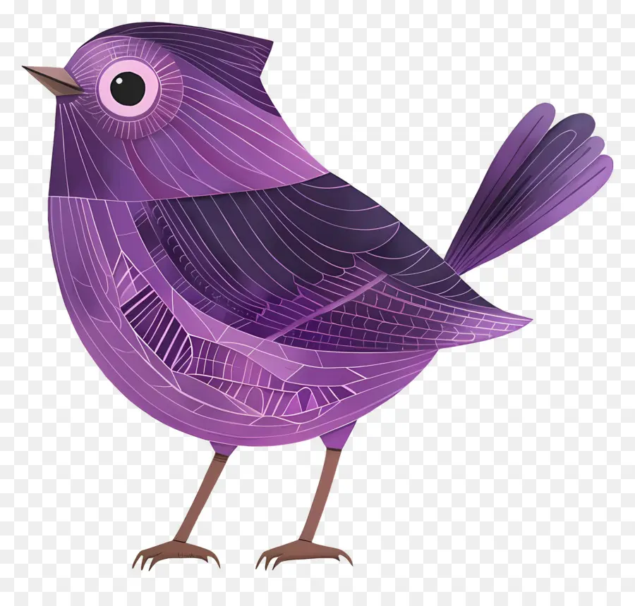 Pájaro Morado，Plumas PNG