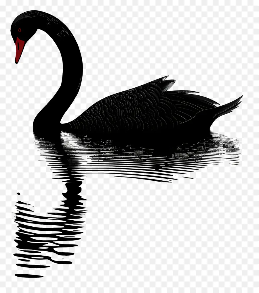 Cisne Negro，Cisne PNG