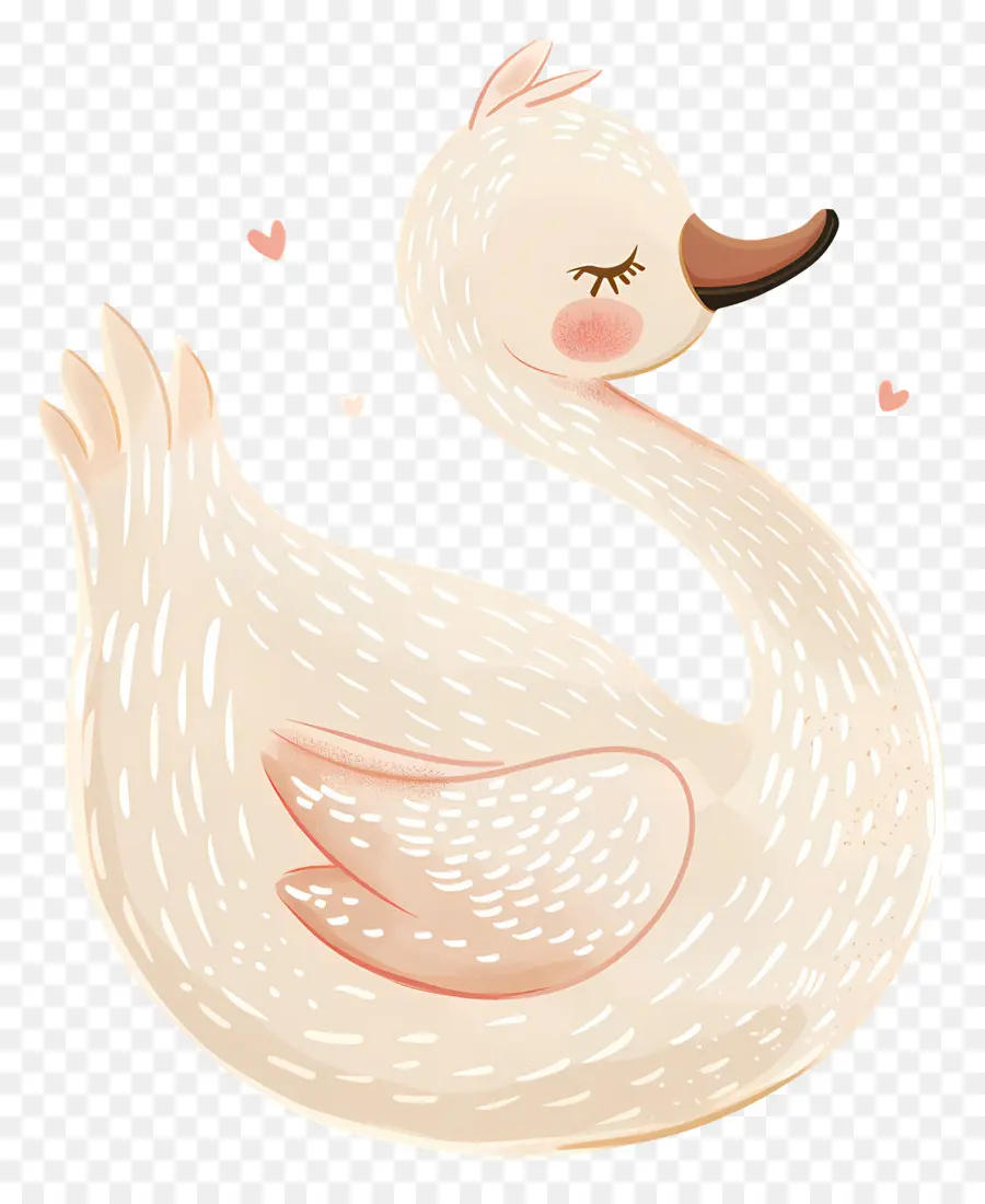 Lindo Cisne，Pato PNG