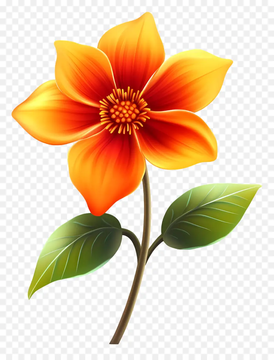 Buen Día，Flor PNG