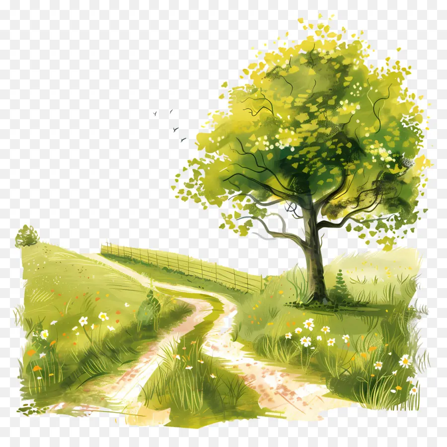 Camino Rural，Paisaje PNG