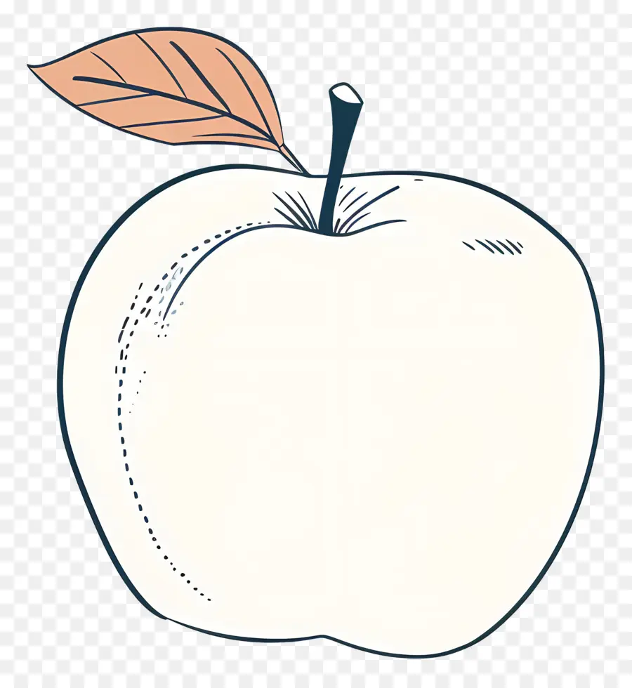 Esquema De Manzana，Hojas PNG