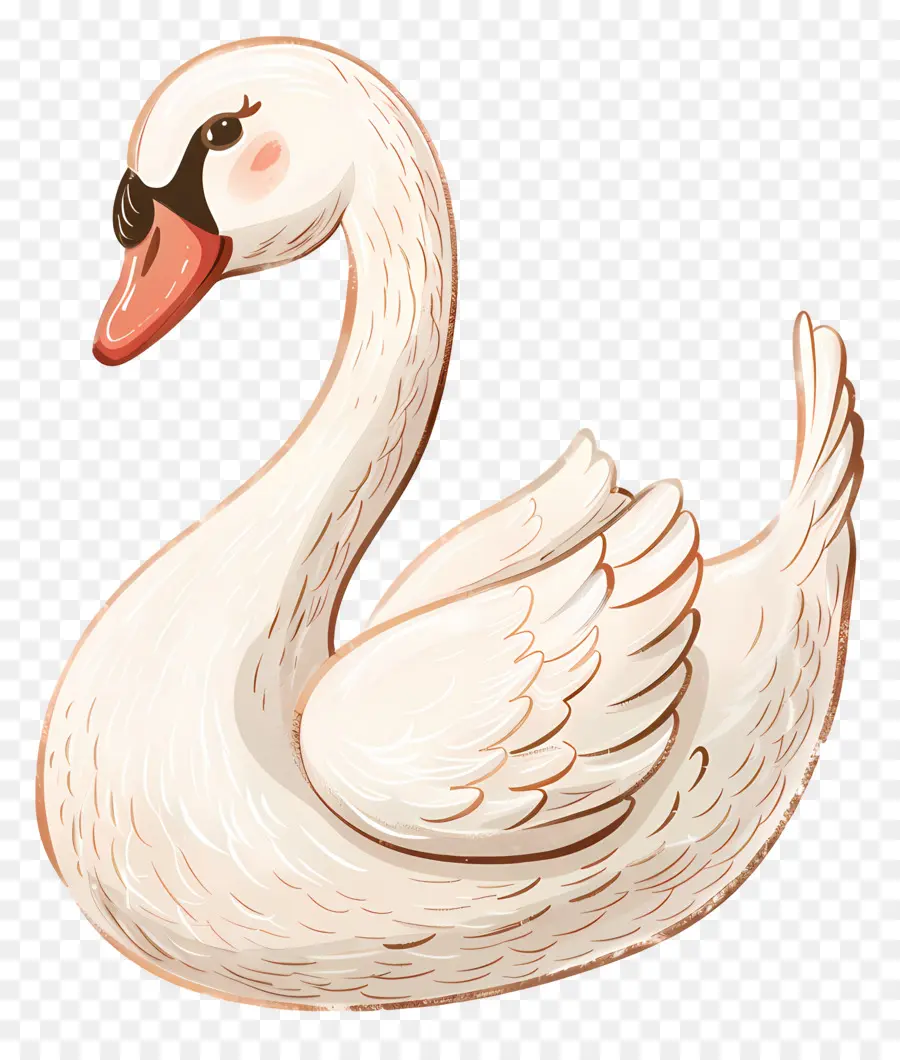 Lindo Cisne，Cisne Blanco PNG