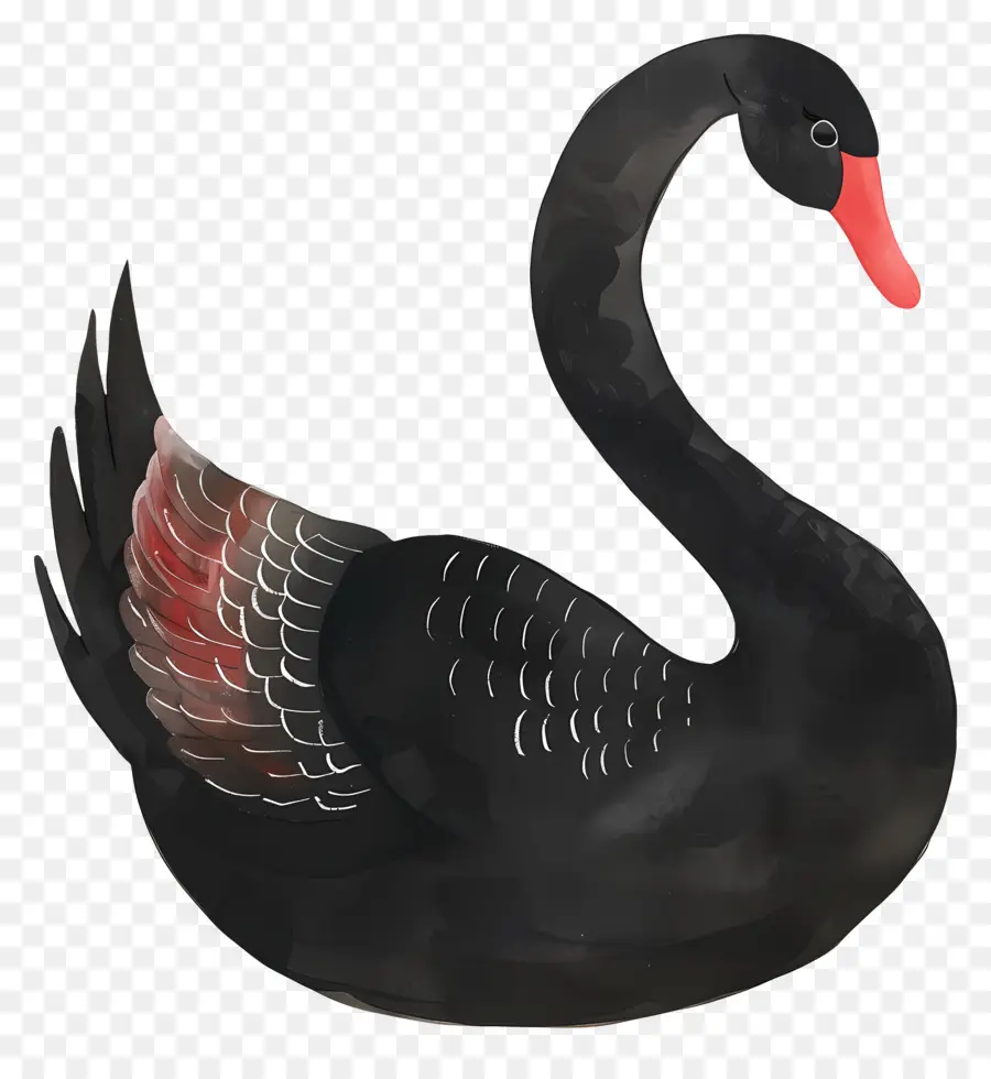 Cisne Negro，Pájaro PNG