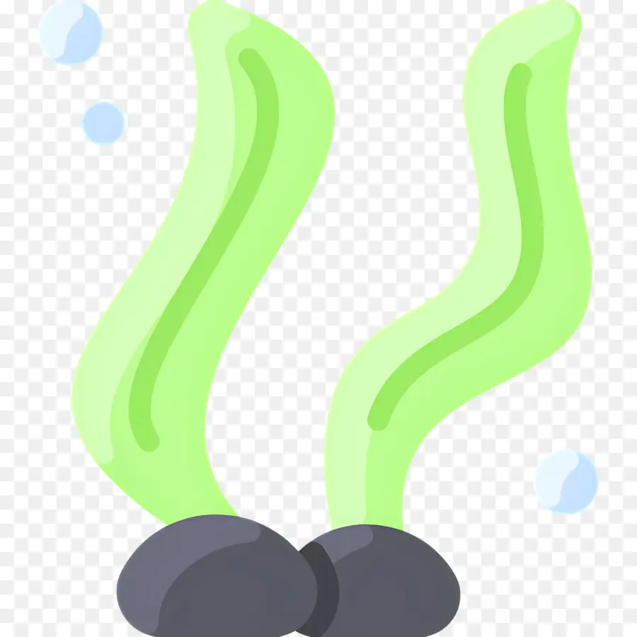 Alga，Algas Verdes PNG