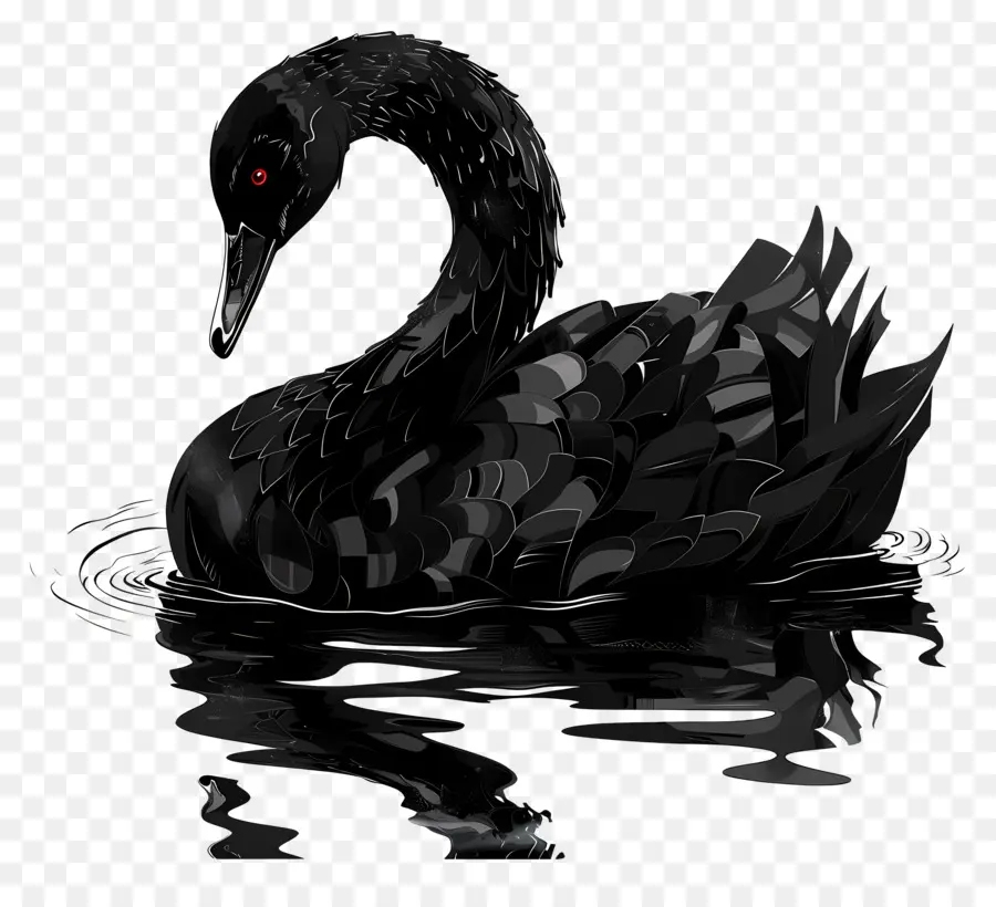 Cisne Negro，Agua PNG