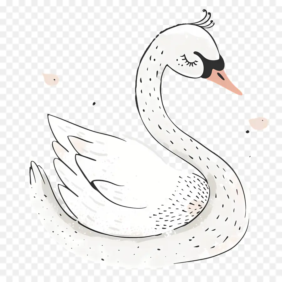 Lindo Cisne，Cisne Blanco PNG