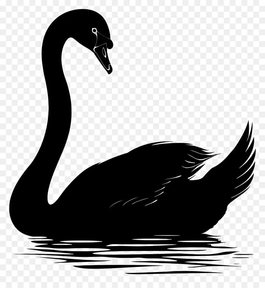 Silueta De Cisne，Cisne Negro PNG