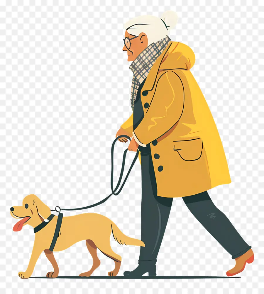 Anciana Paseando Perro，Persona Paseando Perro PNG