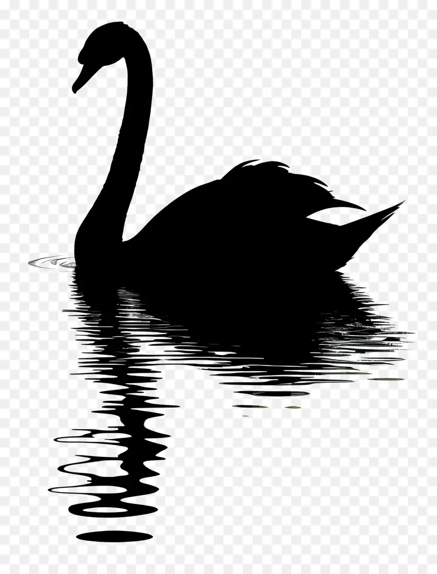 Silueta De Cisne，Cisne Negro PNG