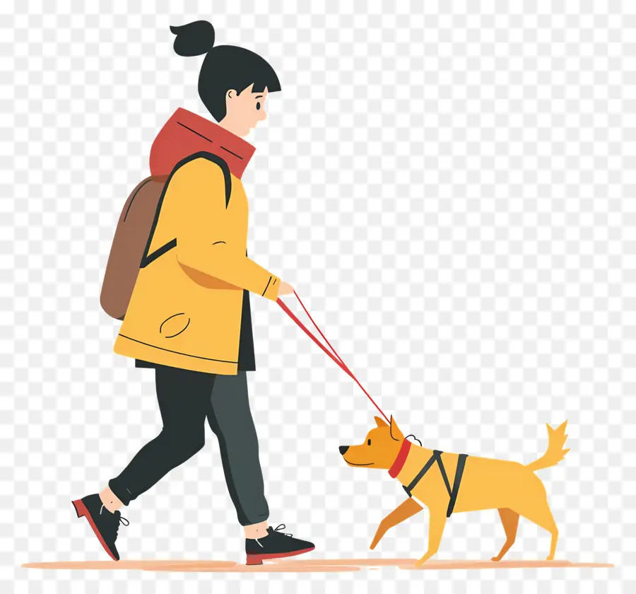 Mujer Paseando Perro，Perro PNG