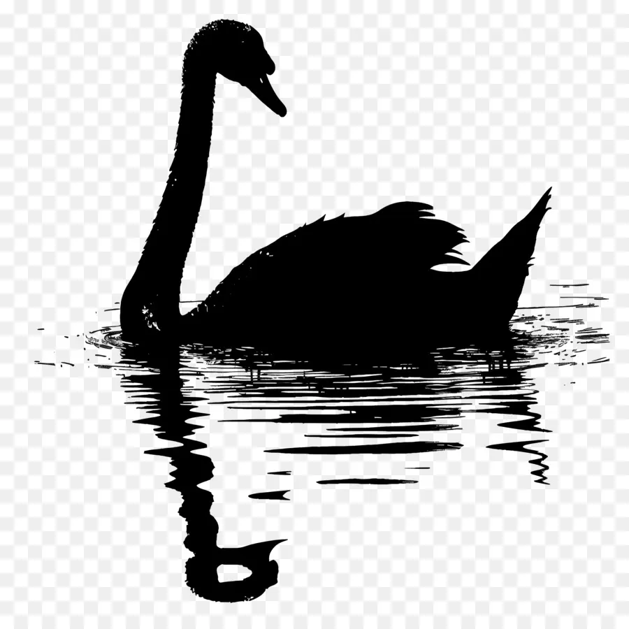 Silueta De Cisne，Cisne Negro PNG