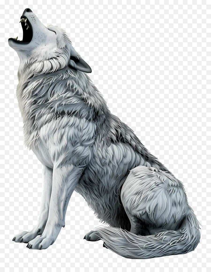 Lobo Aullando，Animal PNG