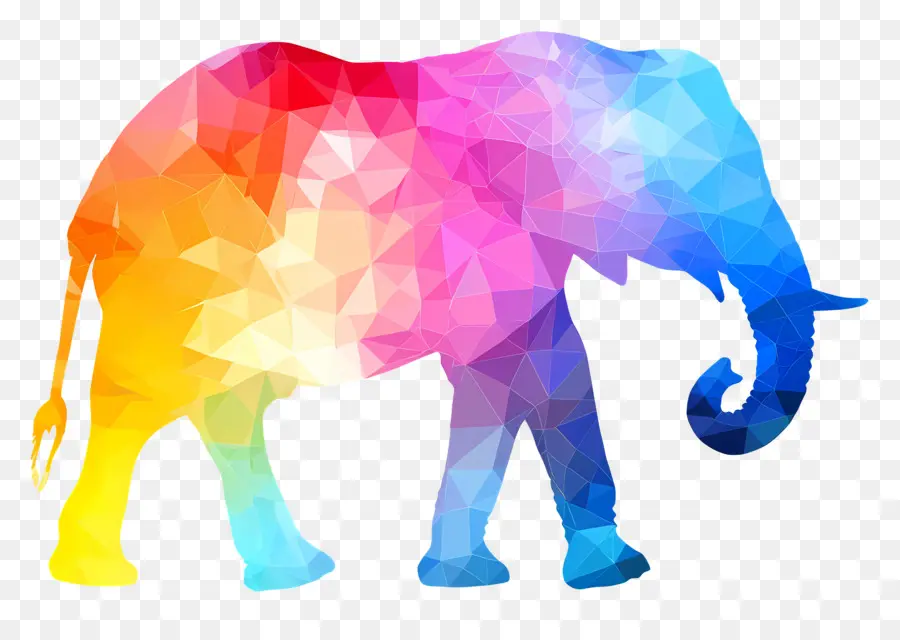 Silueta De Elefante，Elefante Colorido PNG