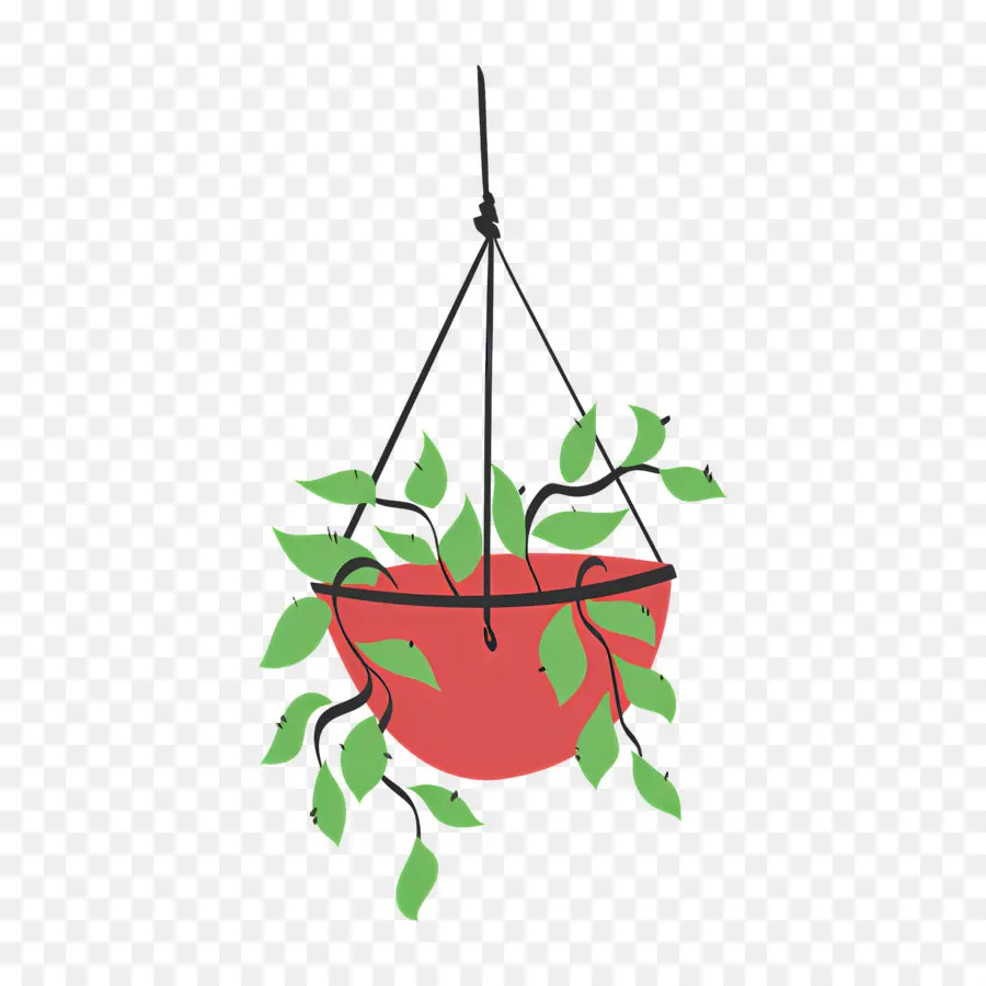 Plantas Colgantes，Planta Colgante PNG