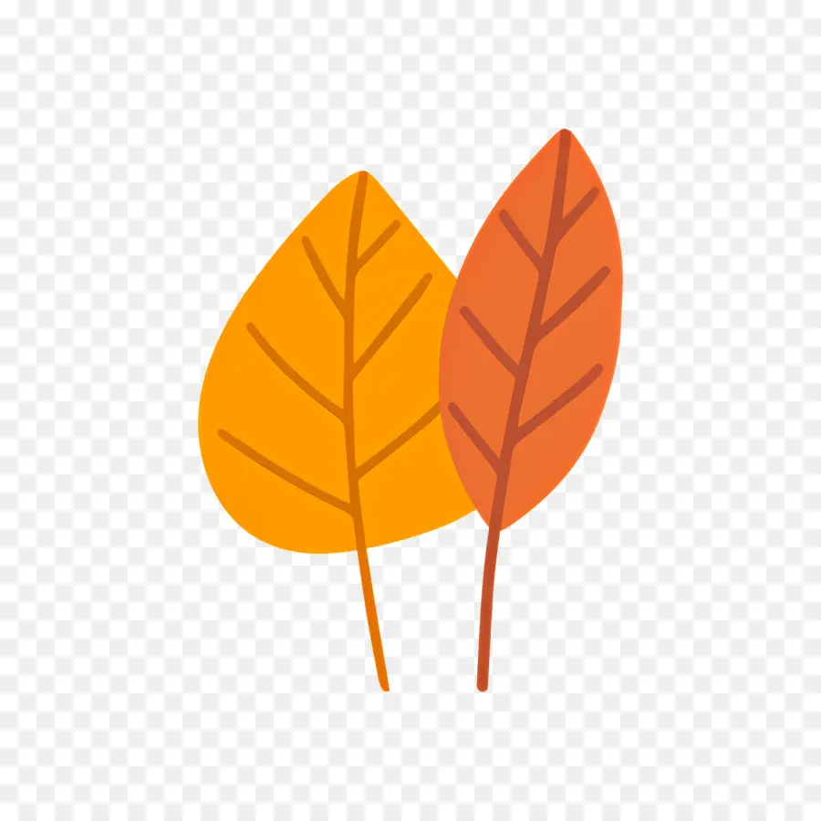 Hojas De Otoño，Hojas PNG