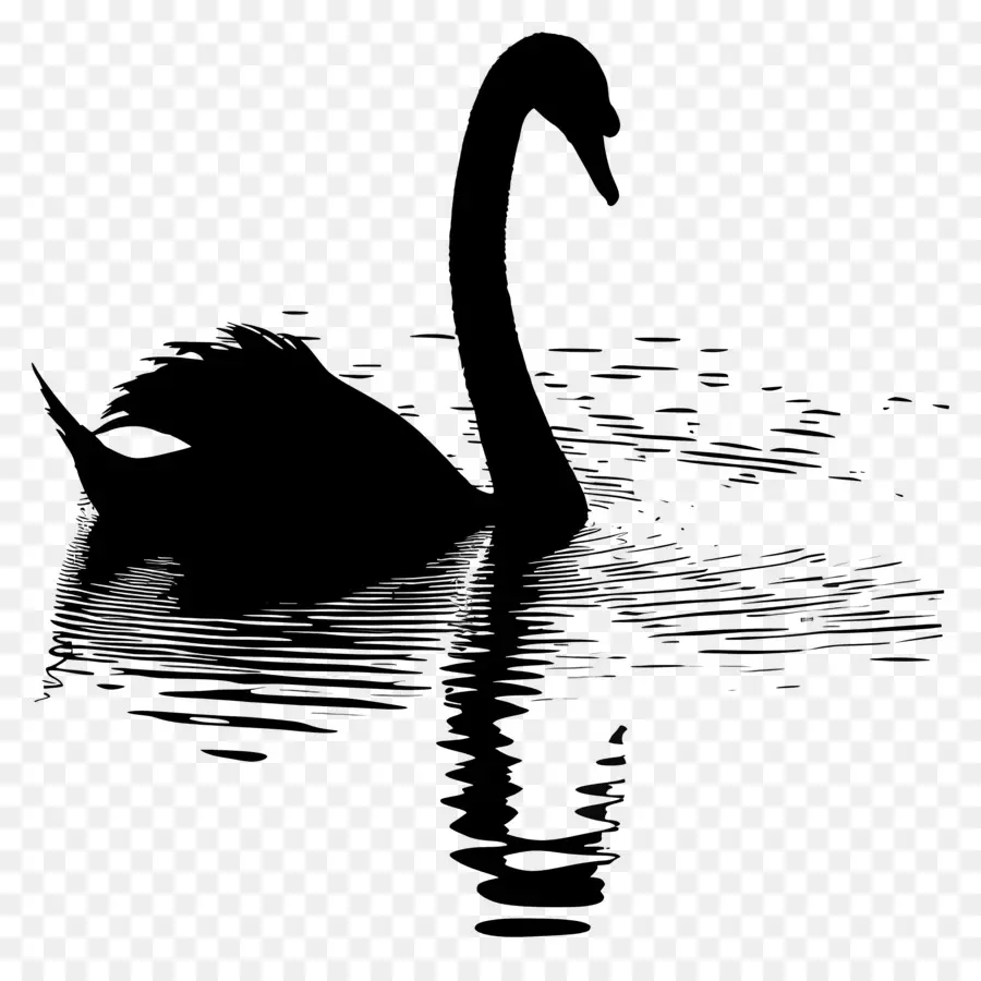 Silueta De Cisne，Cisne Negro PNG