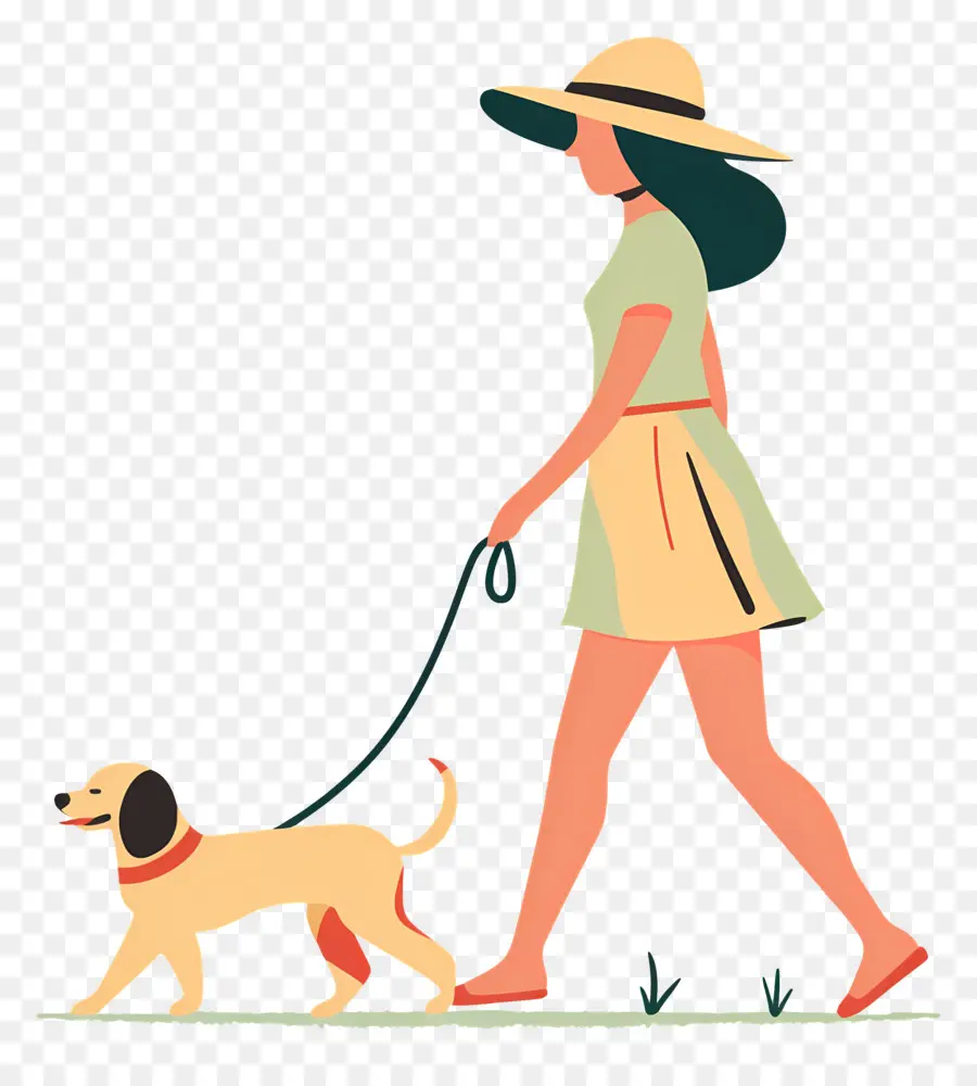 Mujer Paseando Perro，Mujer PNG