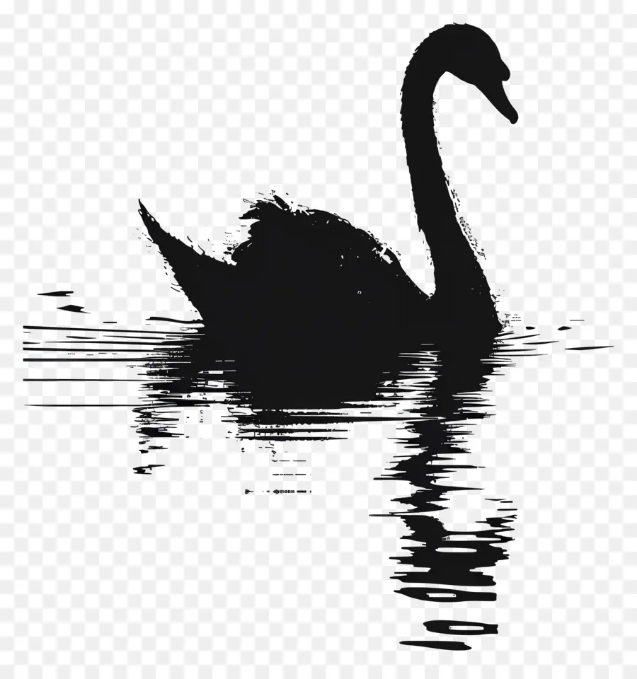 Silueta De Cisne，Cisne Negro PNG