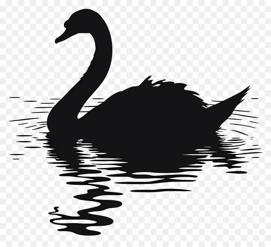 Silueta De Cisne，Cisne Negro PNG