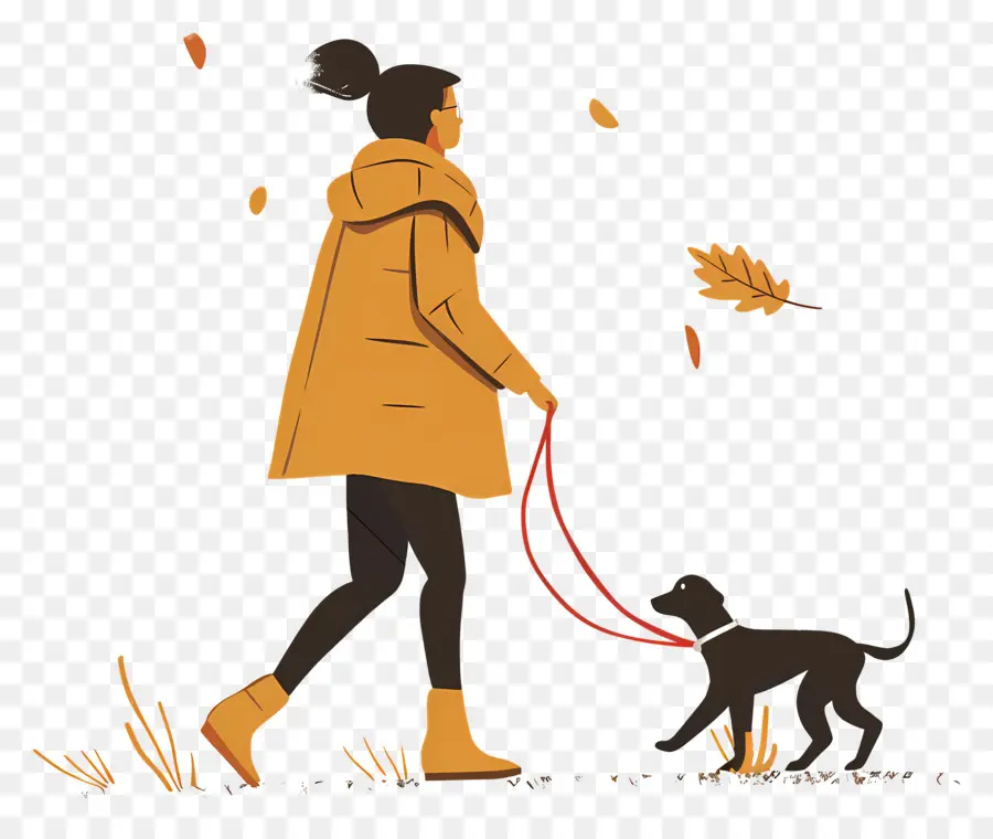 Mujer Paseando Perro，Perro PNG