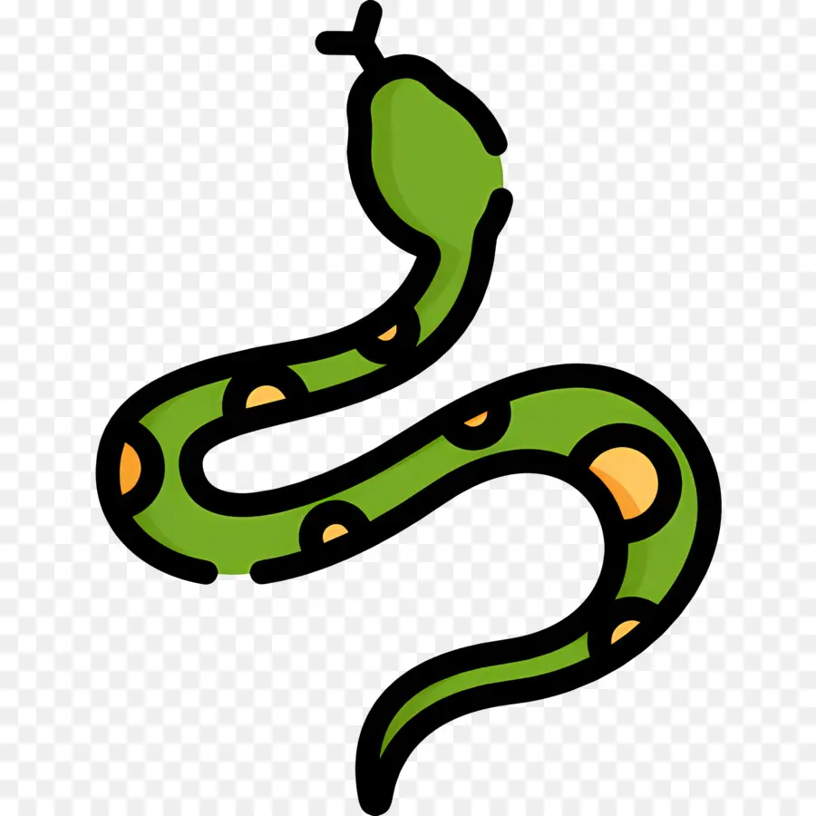 Serpiente，Serpiente Verde PNG