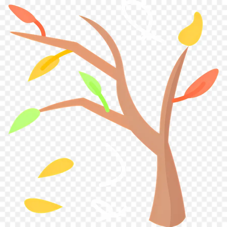 árbol De Otoño，árbol Con Hojas PNG