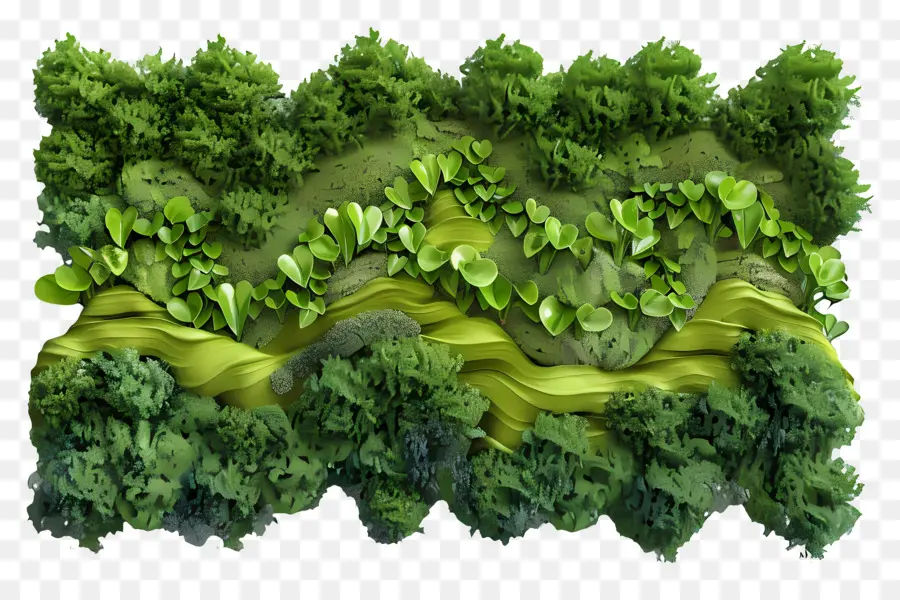 Musgo De Pared，Bosque Verde PNG