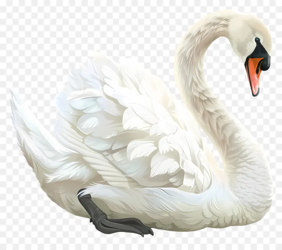 Cisne Blanco，Agua PNG