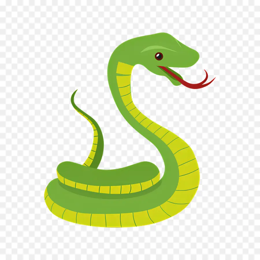 Serpiente，Serpiente Verde PNG