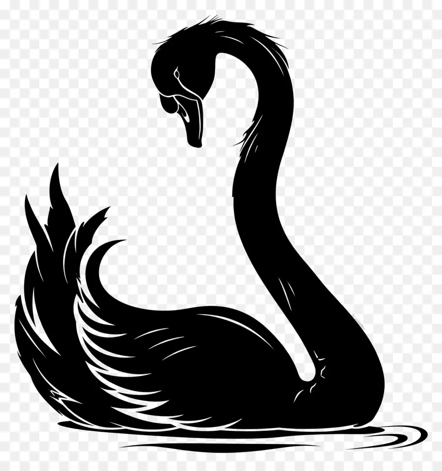 Silueta De Cisne，Cisne PNG