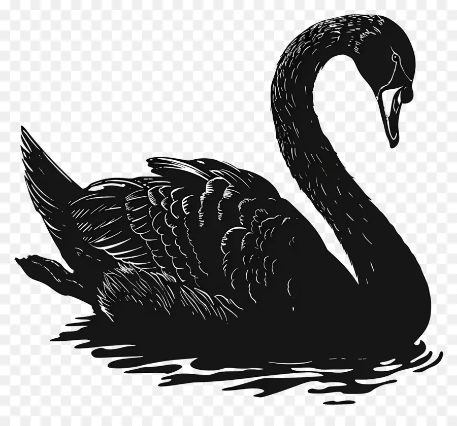 Silueta De Cisne，Cisne PNG