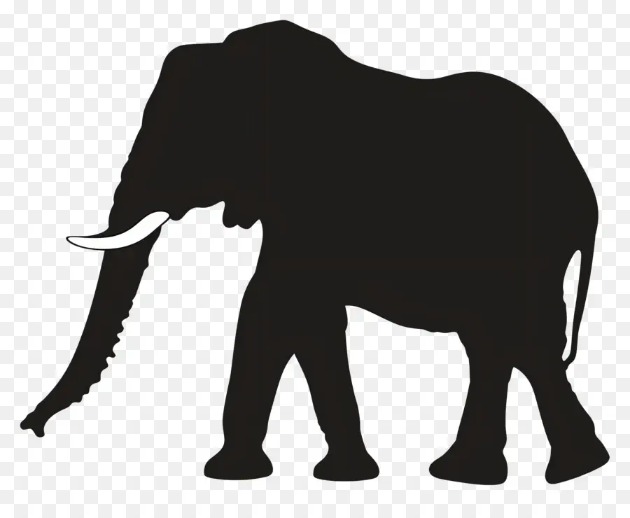 Silueta De Elefante，Silueta De Elefante Negro PNG