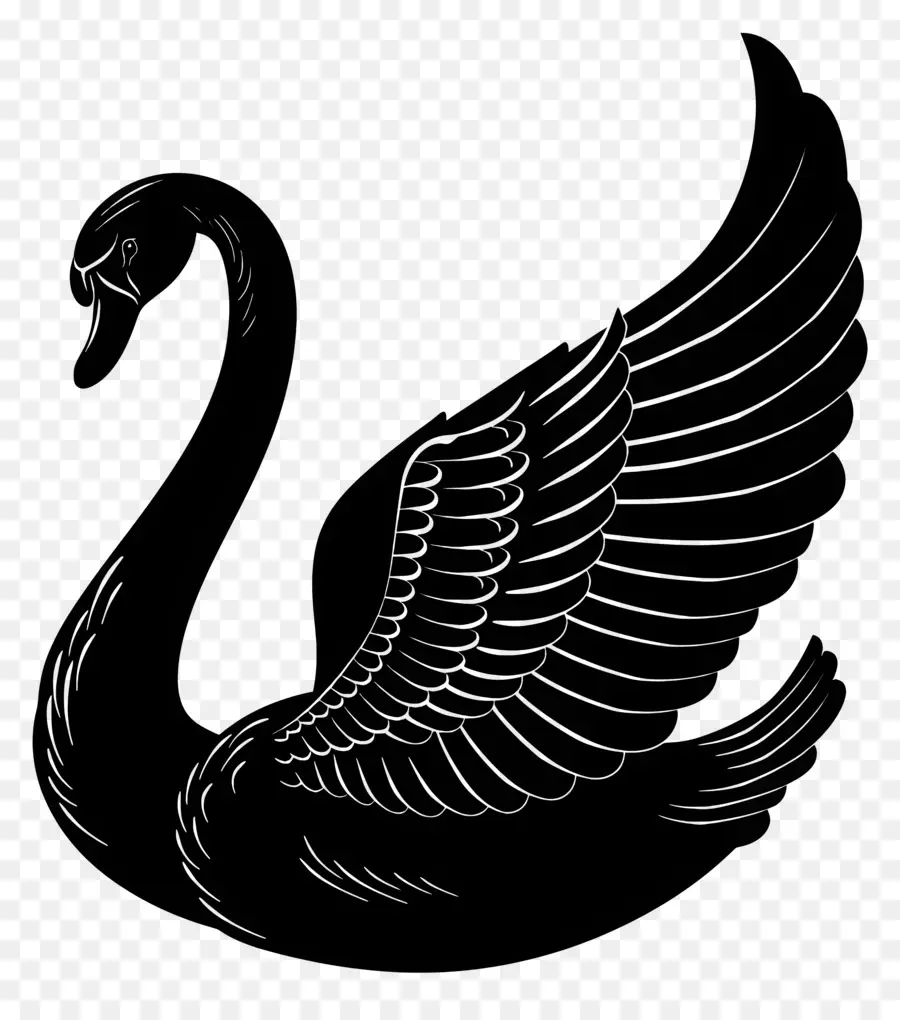 Silueta De Cisne，Cisne PNG