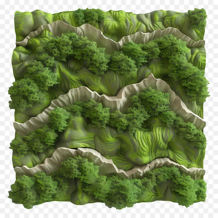 Musgo De Pared，Bosque PNG