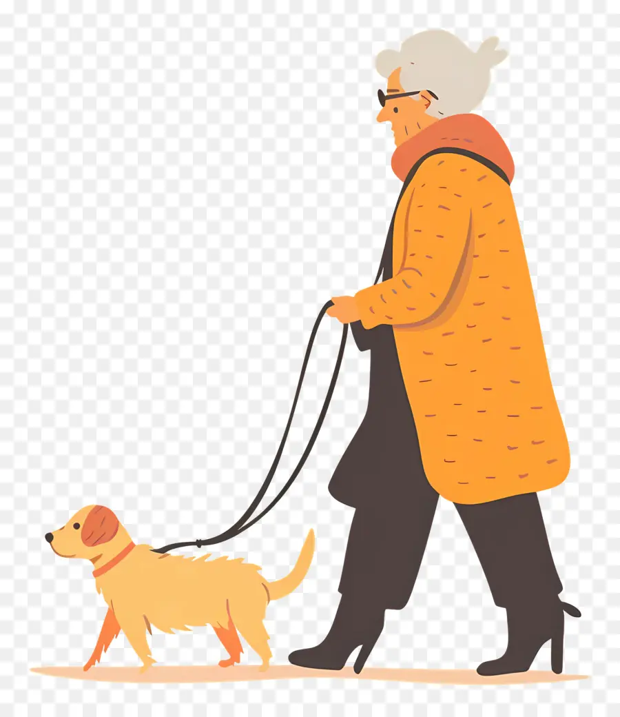 Anciana Paseando Perro，Anciana PNG