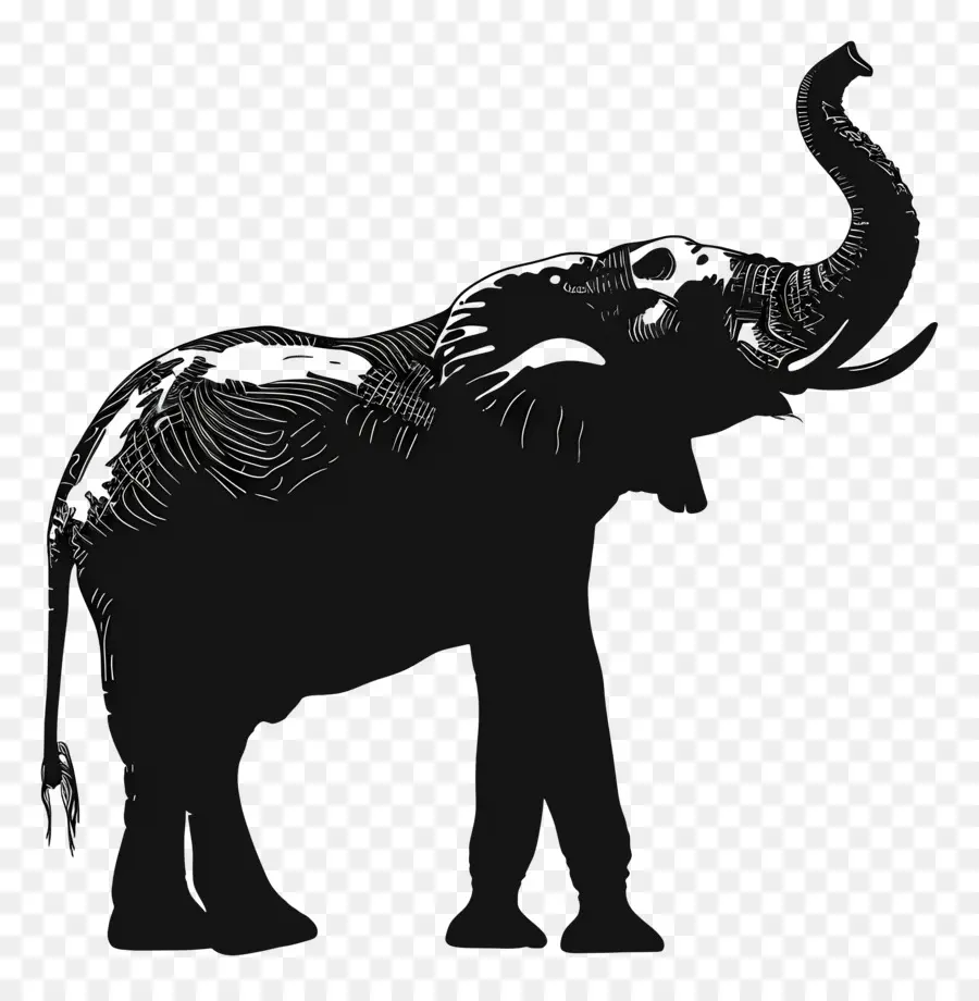 Silueta De Trompa De Elefante Arriba，Silueta De Elefante PNG