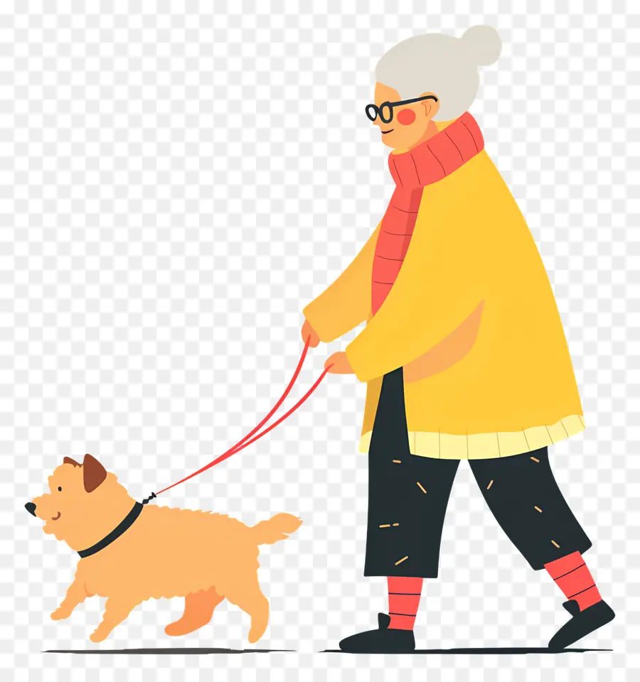 Anciana Paseando Perro，Anciana PNG