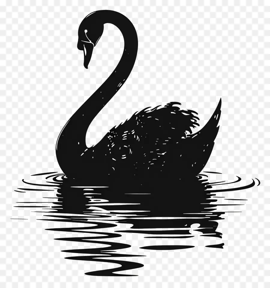 Silueta De Cisne，Cisne Negro PNG