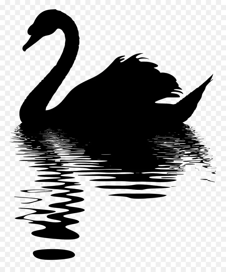 Silueta De Cisne，Cisne Negro PNG