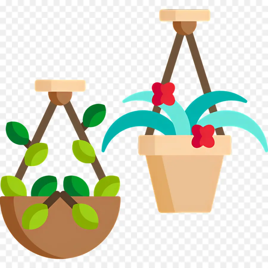 Plantas Colgantes，Montones PNG