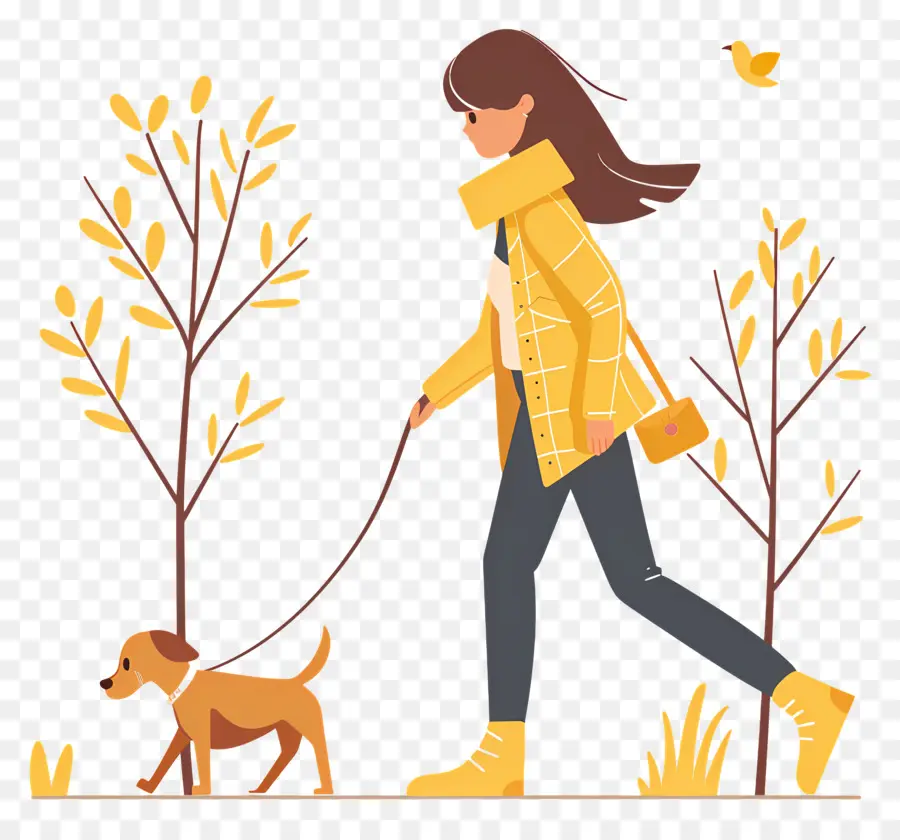 Mujer Paseando Perro，Parque PNG