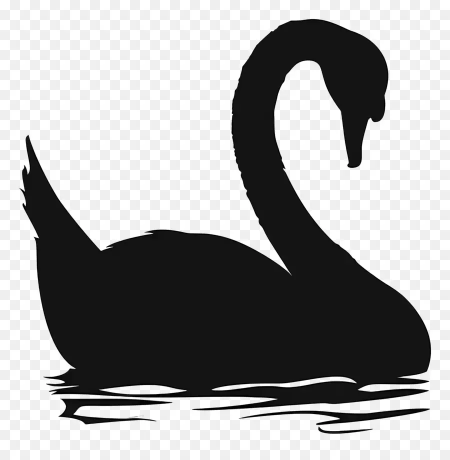 Silueta De Cisne，Cisne Negro PNG