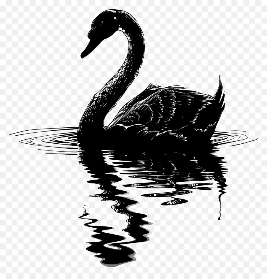 Silueta De Cisne，Cisne Negro PNG