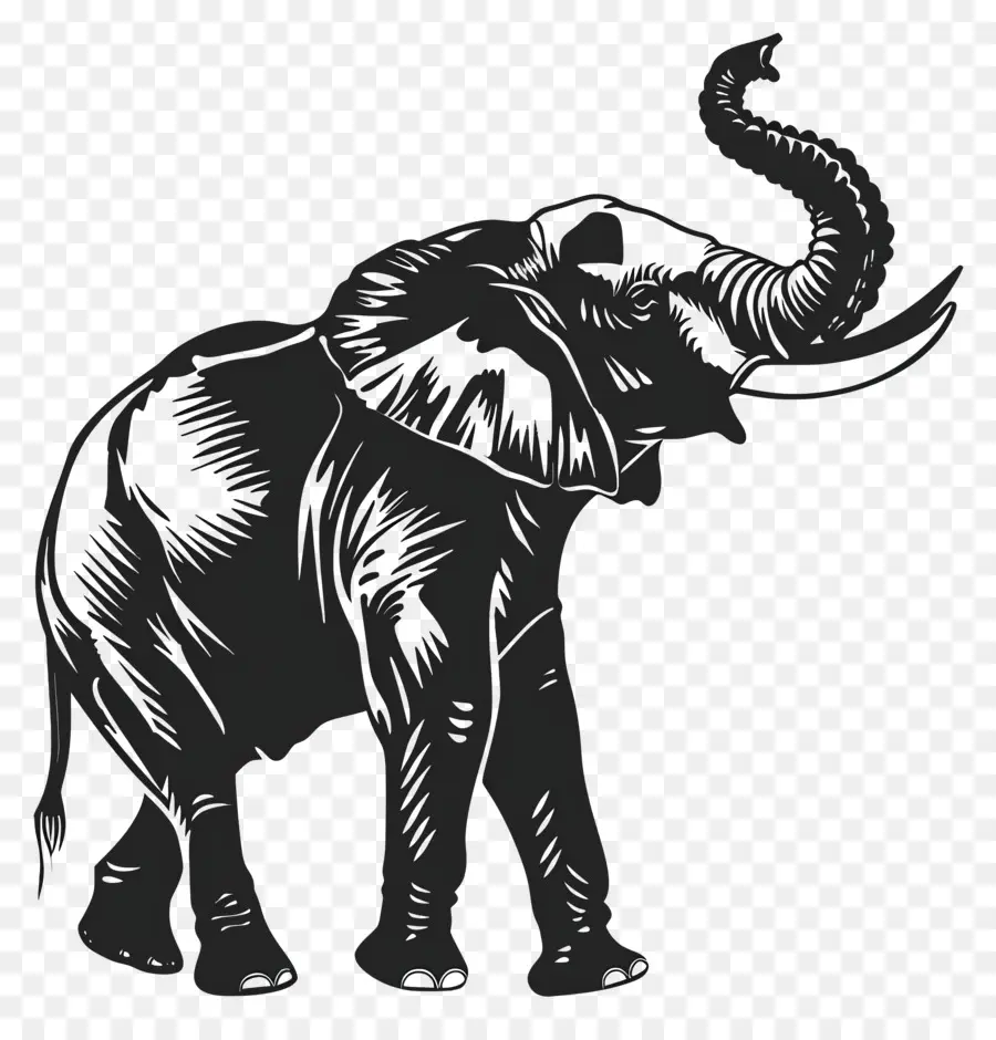 Silueta De Trompa De Elefante Arriba，Silueta De Elefante PNG