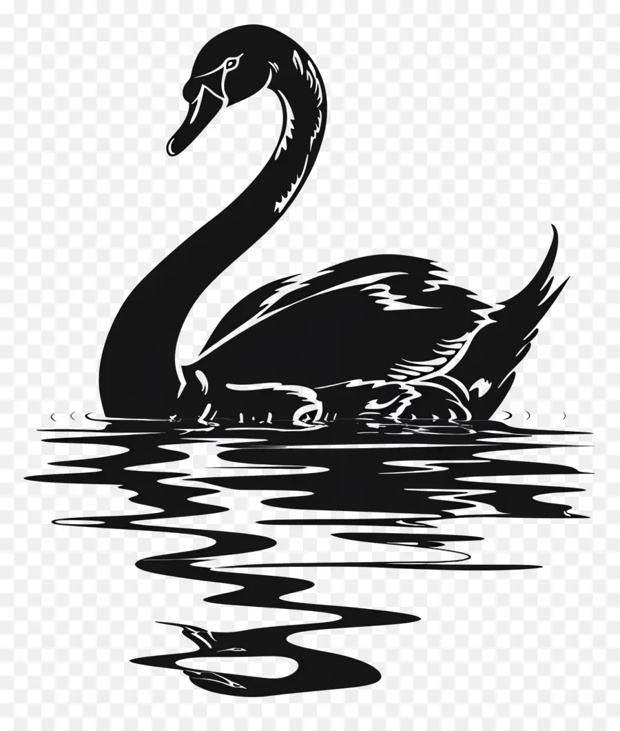 Silueta De Cisne，Cisne Negro PNG