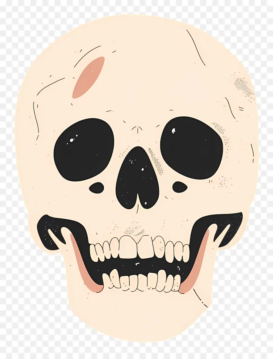 Calavera Aterradora，Cráneo PNG