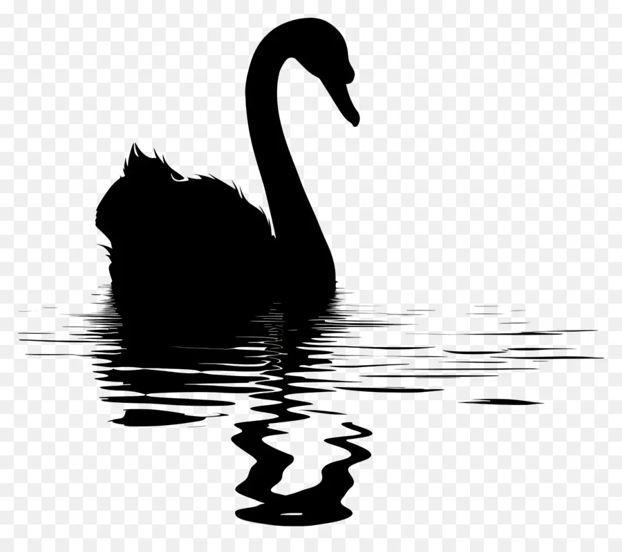 Silueta De Cisne，Cisne Negro PNG