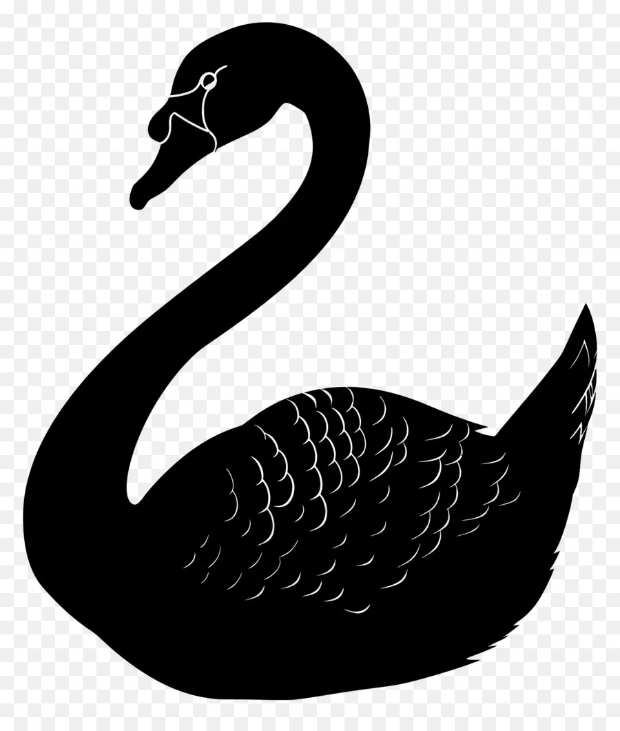 Silueta De Cisne，Cisne PNG