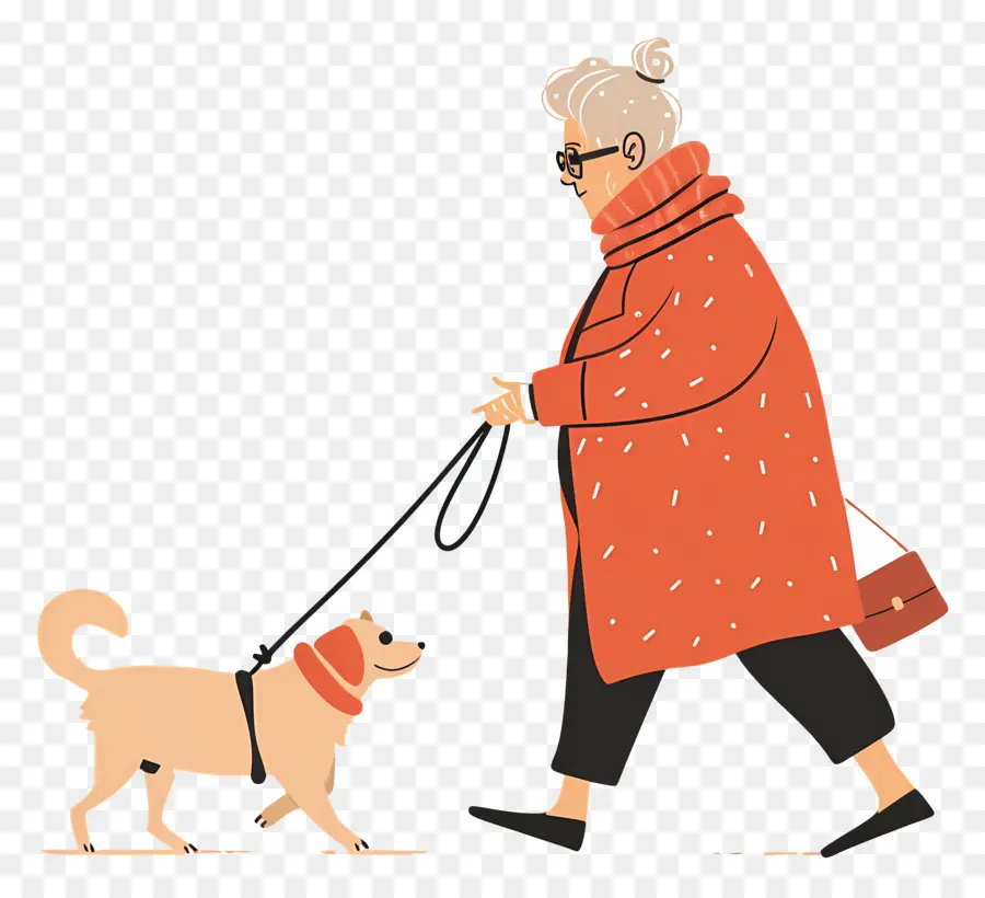 Anciana Paseando Perro，Anciana PNG